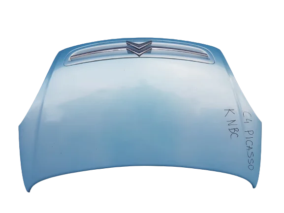 CITROEN XSARA PICASSO KNBC MASKA Zamów teraz