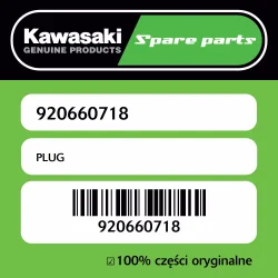PLUG Szybka wysyłka