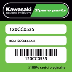 Śruba imbusowa 5X35 Kawasaki Oferta czasowa