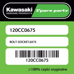 Śruba imbusowa 6X75 Kawasaki Oferta