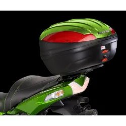 Bezpieczna płatność Nakładka kufra centralnego Golden Blazed Green (40R) Kawasaki